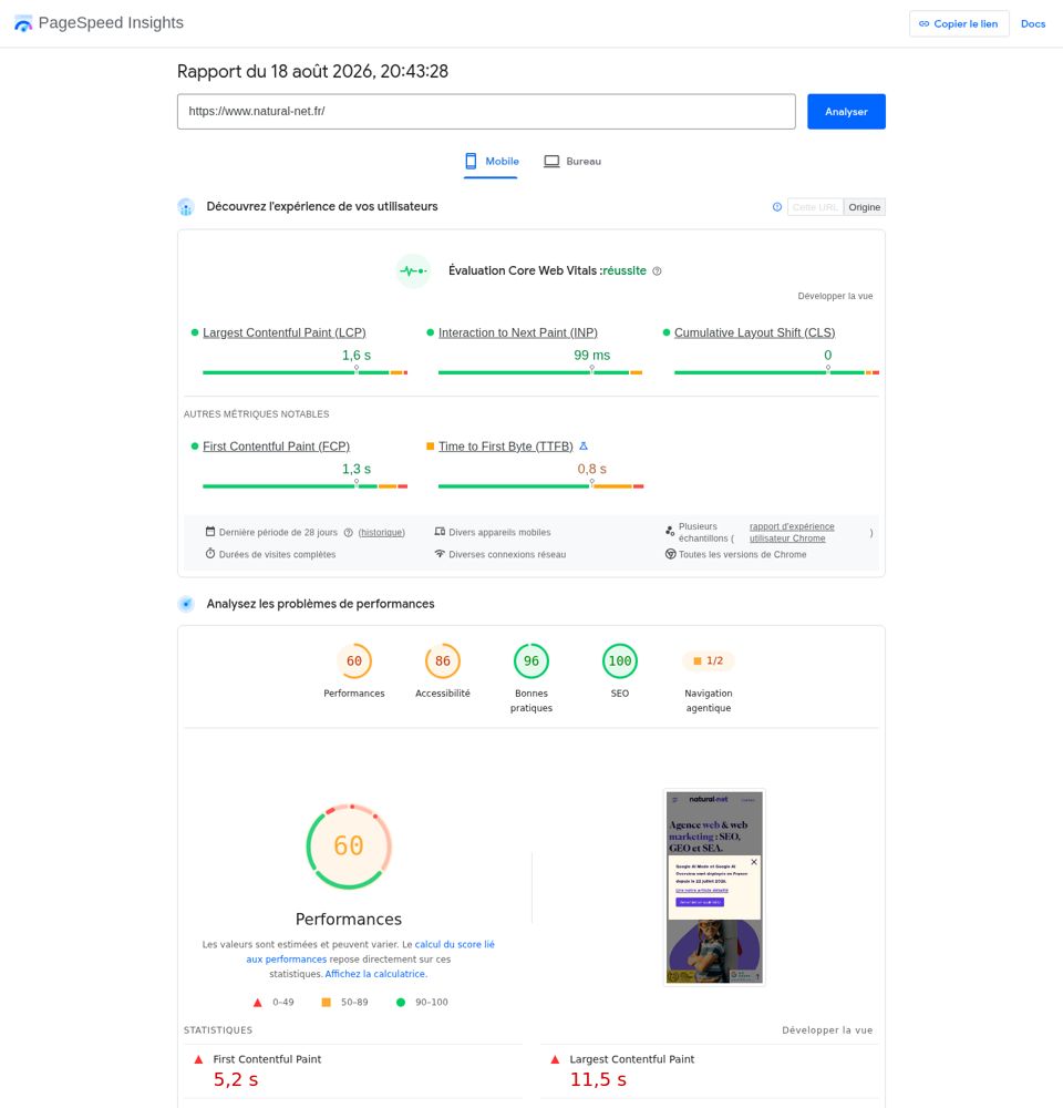 PageSpeed Insights capture of 2026-08-18 for Natural-Net