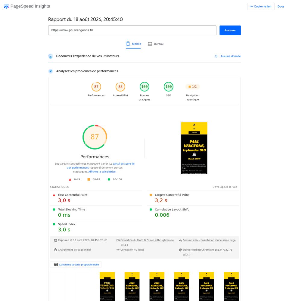 PageSpeed Insights capture of 2026-08-18 for Paul Vengeons